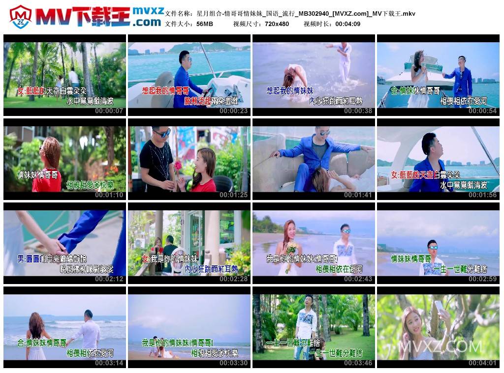 星月组合-情哥哥情妹妹_国语_流行_MB302940